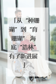 从“种珊瑚”到“育珊瑚” 海底“造林”有了新进展