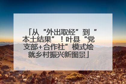 从“外出取经”到“本土结果”！叶县“党支部+合作社”模式绘就乡村振兴新图景