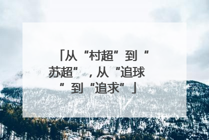 从“村超”到“苏超”，从“追球”到“追求”
