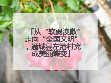 从“软弱涣散”走向“全国文明”，通城县左港村完成美丽蝶变