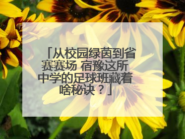 从校园绿茵到省赛赛场 宿豫这所中学的足球班藏着啥秘诀？
