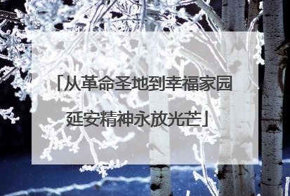 从革命圣地到幸福家园 延安精神永放光芒