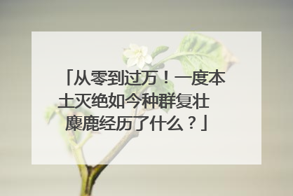 从零到过万！一度本土灭绝如今种群复壮 麋鹿经历了什么？