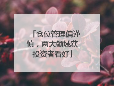 仓位管理偏谨慎，两大领域获投资者看好