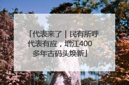 代表来了｜民有所呼代表有应，增江400多年古码头焕新