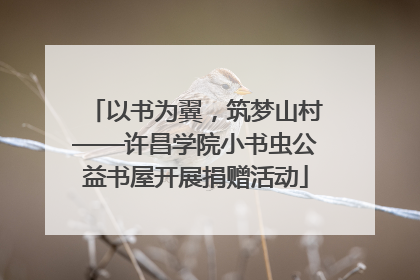 以书为翼，筑梦山村——许昌学院小书虫公益书屋开展捐赠活动