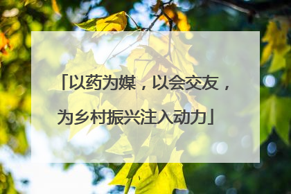 以药为媒，以会交友，为乡村振兴注入动力