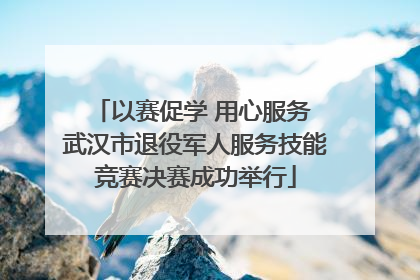 以赛促学 用心服务 武汉市退役军人服务技能竞赛决赛成功举行