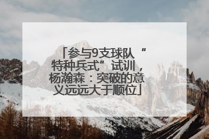参与9支球队“特种兵式”试训，杨瀚森：突破的意义远远大于顺位