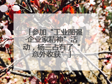 参加“工业图强·企业家精神”活动，杨三占有了“意外收获”