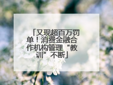 又现超百万罚单！消费金融合作机构管理“教训”不断
