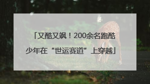 又酷又飒！200余名跑酷少年在“世运赛道”上穿越