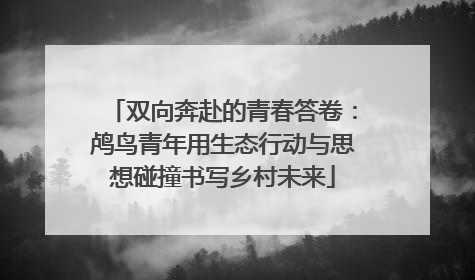 双向奔赴的青春答卷：鸬鸟青年用生态行动与思想碰撞书写乡村未来
