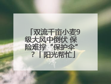 双流千亩小麦9级大风中倒伏 保险难撑“保护伞”？丨阳光帮忙
