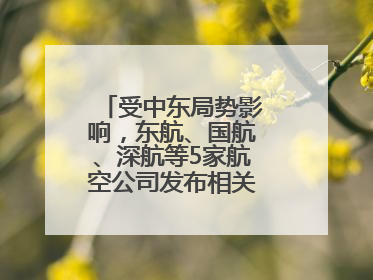 受中东局势影响，东航、国航、深航等5家航空公司发布相关航线退改政策