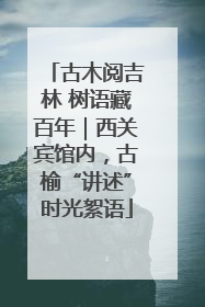古木阅吉林 树语藏百年｜西关宾馆内，古榆“讲述”时光絮语