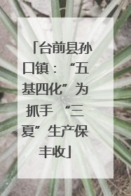 台前县孙口镇：“五基四化”为抓手 “三夏”生产保丰收
