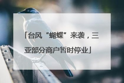 台风“蝴蝶”来袭，三亚部分商户暂时停业