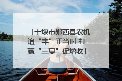 十堰市郧西县农机追“丰”正当时 打赢“三夏”促增收