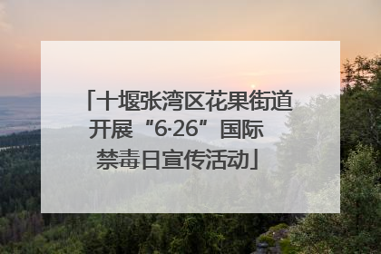 十堰张湾区花果街道开展“6·26”国际禁毒日宣传活动