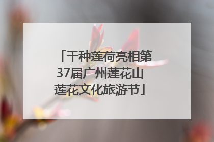 千种莲荷亮相第37届广州莲花山莲花文化旅游节
