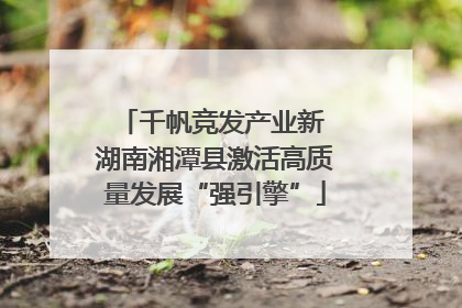 千帆竞发产业新 湖南湘潭县激活高质量发展“强引擎”