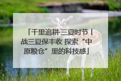 千里追耕·三夏时节丨战三夏保丰收 探索“中原粮仓”里的科技感