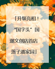 升级亮相！“国字头”国潮文创店首店落子潘家园