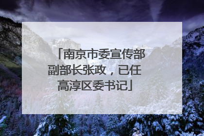 南京市委宣传部副部长张政，已任高淳区委书记