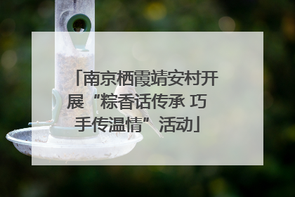 南京栖霞靖安村开展“粽香话传承 巧手传温情”活动