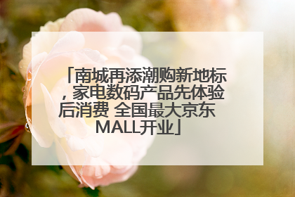 南城再添潮购新地标，家电数码产品先体验后消费 全国最大京东MALL开业