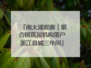 南太湖观察｜联合国直属机构落户浙江县城三年间