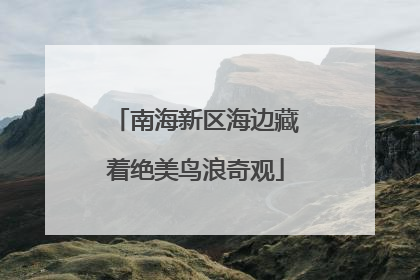 南海新区海边藏着绝美鸟浪奇观