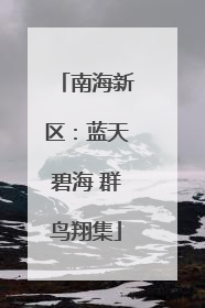 南海新区：蓝天碧海 群鸟翔集