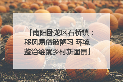 南阳卧龙区石桥镇：移风易俗破陋习 环境整治绘就乡村新图景