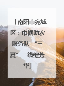 南阳市宛城区：巾帼助农服务队 “三夏”一线绽芳华