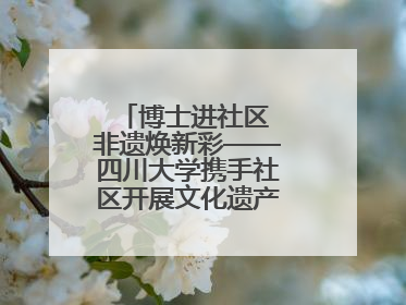 博士进社区 非遗焕新彩——四川大学携手社区开展文化遗产日特别活动