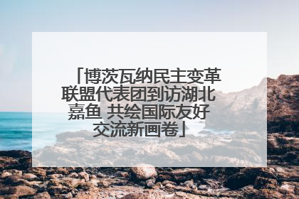 博茨瓦纳民主变革联盟代表团到访湖北嘉鱼 共绘国际友好交流新画卷