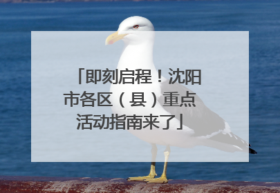 即刻启程！沈阳市各区（县）重点活动指南来了