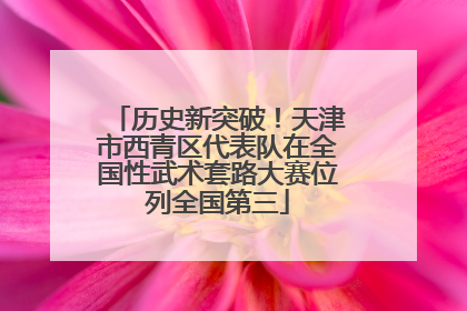 历史新突破！天津市西青区代表队在全国性武术套路大赛位列全国第三
