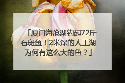 厦门海沧湖钓起72斤石斑鱼！2米深的人工湖为何有这么大的鱼？