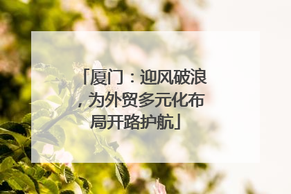 厦门：迎风破浪，为外贸多元化布局开路护航