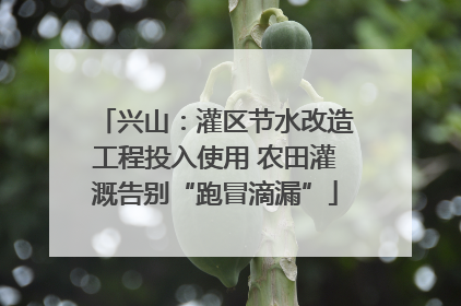 兴山：灌区节水改造工程投入使用 农田灌溉告别“跑冒滴漏”