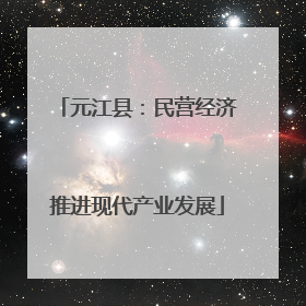 元江县：民营经济推进现代产业发展