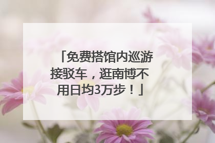 免费搭馆内巡游接驳车，逛南博不用日均3万步！