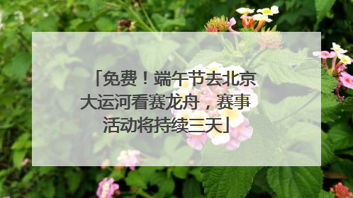 免费！端午节去北京大运河看赛龙舟，赛事活动将持续三天