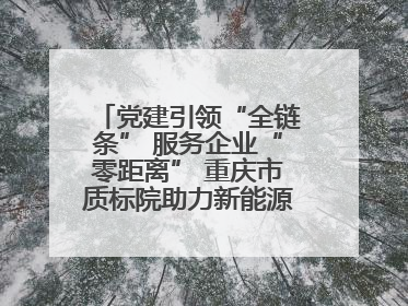 党建引领“全链条” 服务企业“零距离” 重庆市质标院助力新能源汽车产业链提升质量管理水平