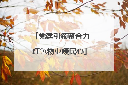 党建引领聚合力 红色物业暖民心