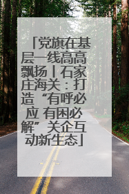 党旗在基层一线高高飘扬丨石家庄海关：打造“有呼必应 有困必解”关企互动新生态