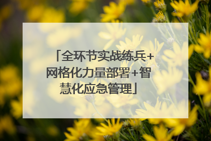 全环节实战练兵+网格化力量部署+智慧化应急管理